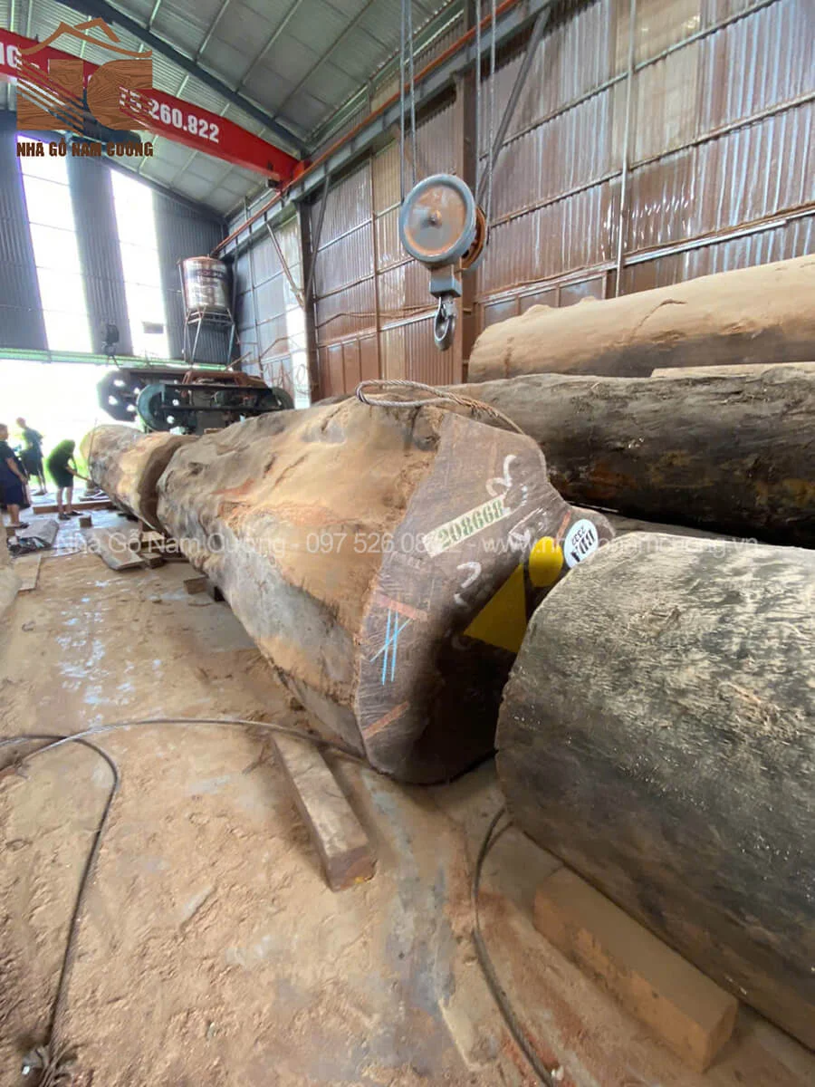 Các chi tiết cấu thành chi phí