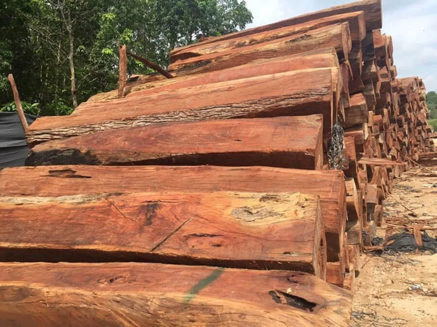 Gỗ căm xe giá bao nhiêu (báo giá m3)