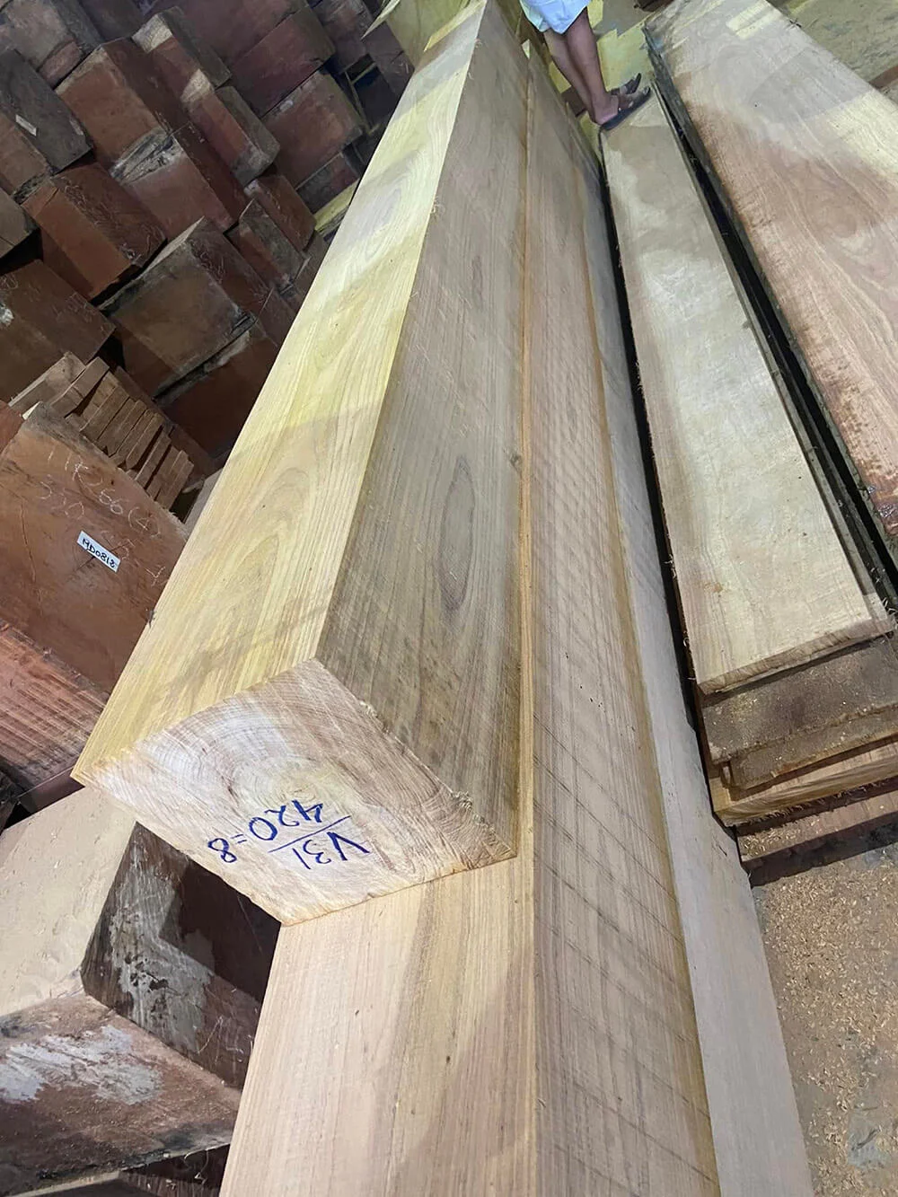 Giá gỗ gõ đỏ Pachy cập nhật 2025