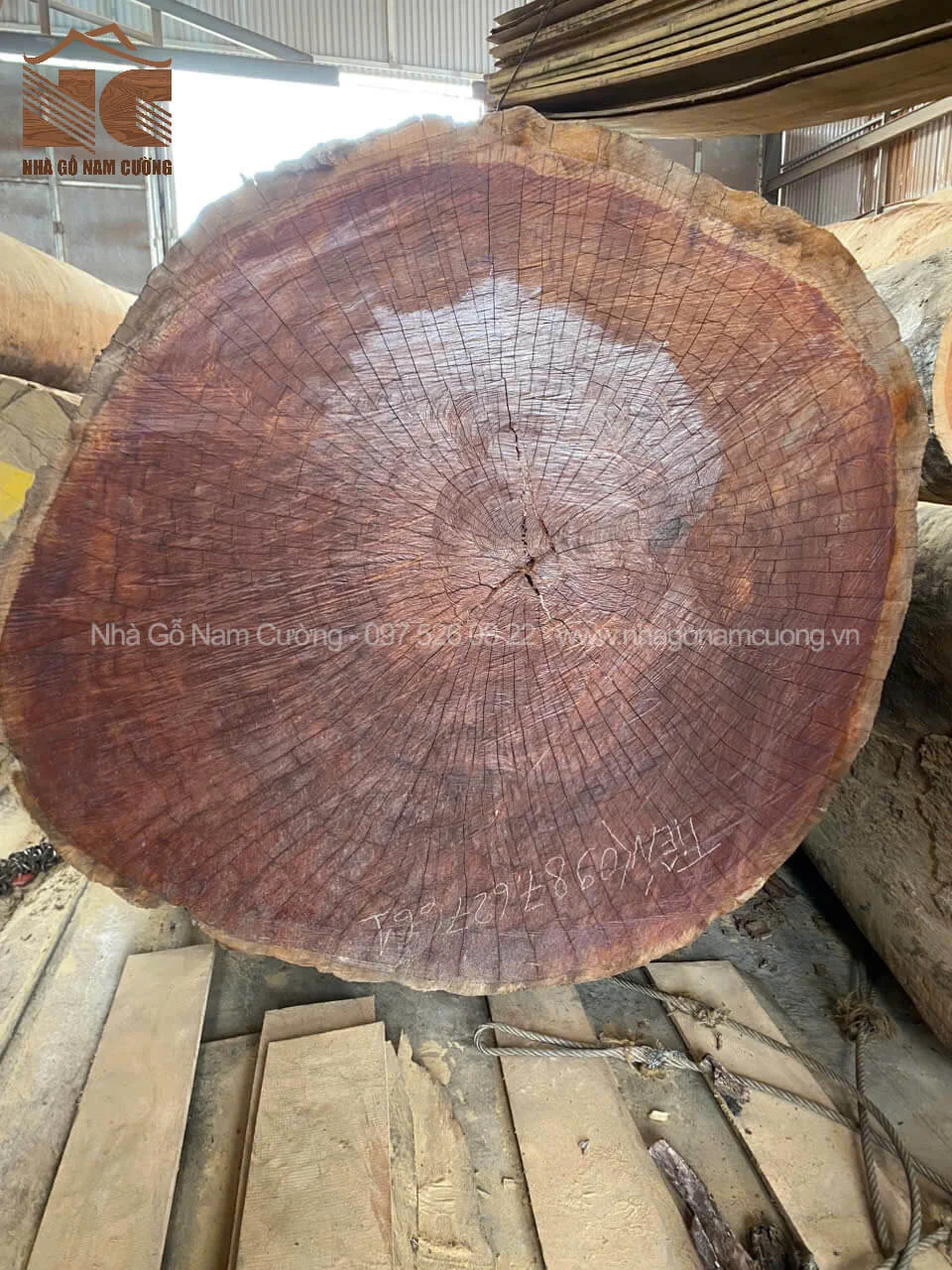 Gỗ sến là gì và thuộc nhóm mấy?