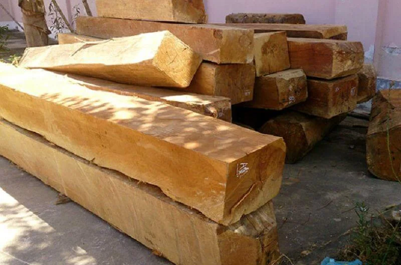 Đặc điểm nổi bật