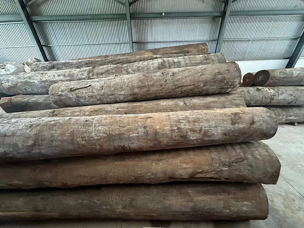 Đặc điểm nổi bật
