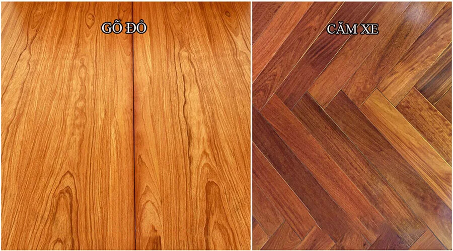 So sánh chi tiết gỗ căm xe và gỗ gõ đỏ