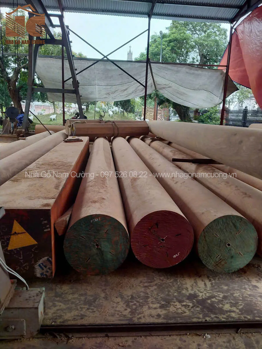 Cột