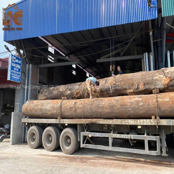 4 loại gỗ tứ thiết của Việt Nam: Đinh - Lim - Sến -Táu