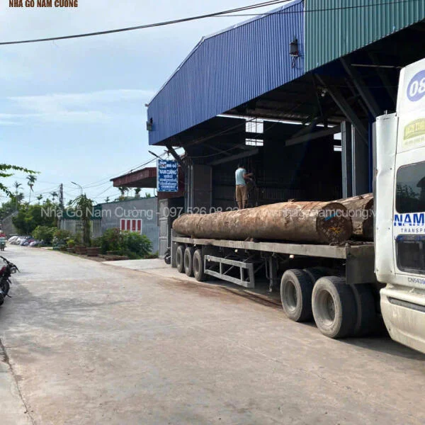 Gỗ lim xanh Nam Phi cập bến xưởng sản xuất Nhà Gỗ Nam Cường