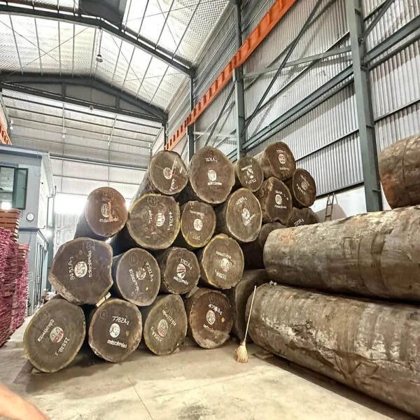Gỗ Xoan đào là gì? Ưu nhược điểm và giá bao nhiêu 1m3?