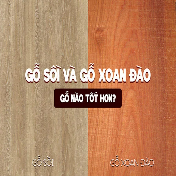 So sánh gỗ Xoan đào và gỗ Sồi: Loại gỗ nào tốt hơn?