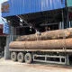 4 loại gỗ tứ thiết của Việt Nam: Đinh - Lim - Sến -Táu