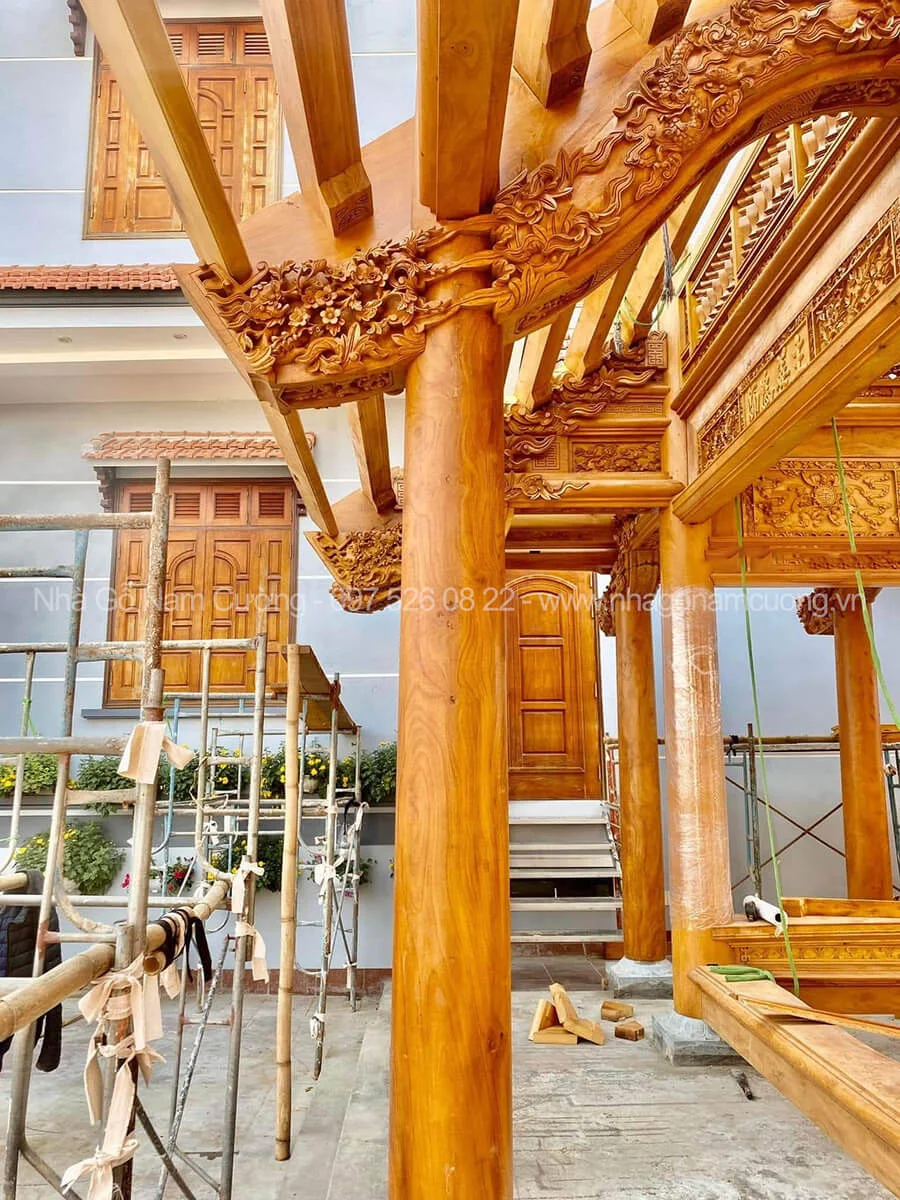 Đặc điểm hình dáng